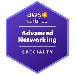 AWS Certified Advanced Networking Specialty (ANS-C01)